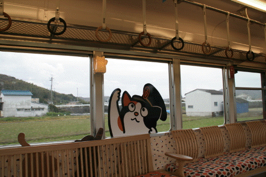 日本花猫站长“阿玉”就任6周年升迁“代理社长”