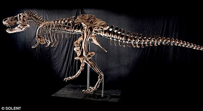 世界最大霸王龙骨架将被拍卖 售价或达480万英镑