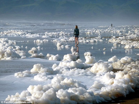 海啸让加州海岸成泡泡浴场 新鲜景象难得一见