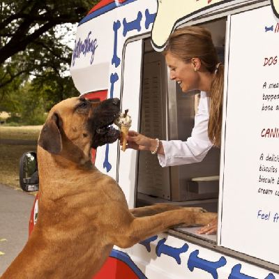 英推出全新狗食冰淇淋 宠物也能享清凉美味