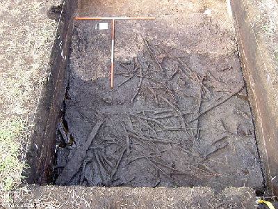 英国轰动性考古成果 10500年前房子遗址出土