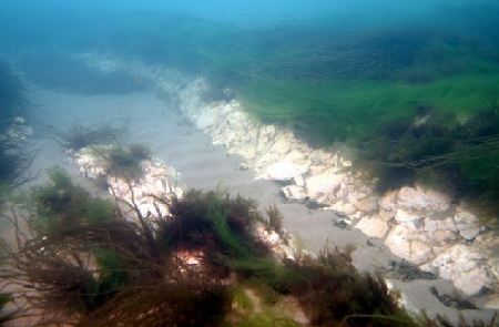 英国潜水员意外发现世界最长白垩礁石带 绵延30公里
