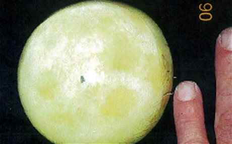 美老妇兜售月岩碎片被没收 NASA指其私藏国家财产