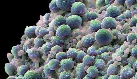 场能有效治疗癌症