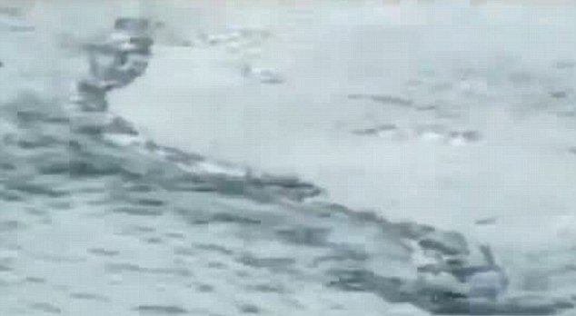 冰岛水怪竟是破渔网? 网友连喊被忽悠!