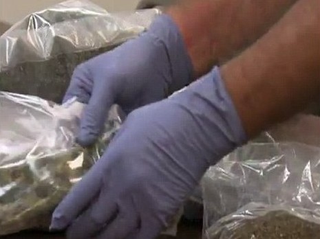 美73岁老妇持枪藏毒被捕 竟是贩毒集团头目