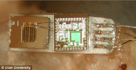 美科学家研发新型助听器 完全植入中耳避免部件暴露尴尬