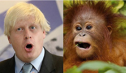 英报拿伦敦市长开涮：他多像只红毛猩猩！