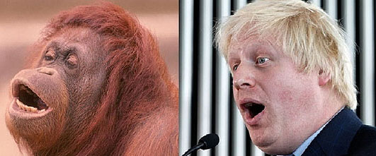 英报拿伦敦市长开涮：他多像只红毛猩猩！