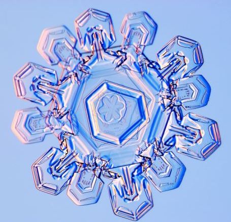 美国科学家带你圣诞看雪花(图)