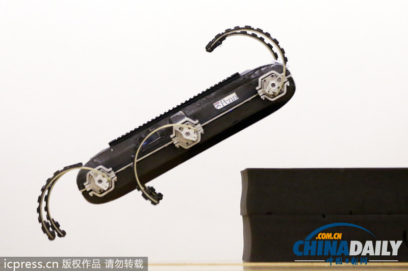 美国研发六足机器人 能跳跃爬墙空翻（图）