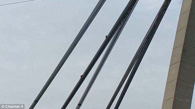 极限运动爱好者握住同伴手腕悬挂115米高空[8