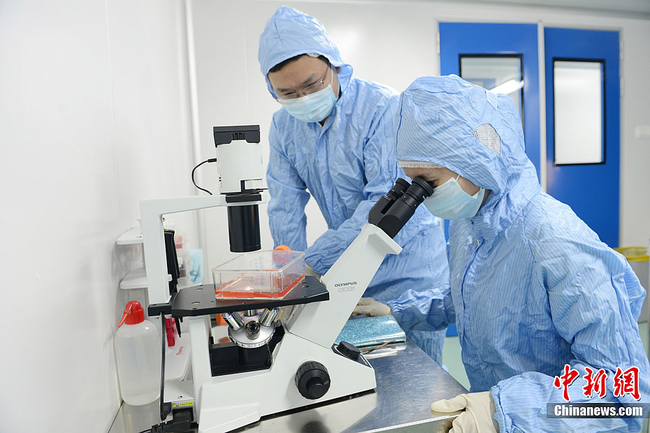 记者实拍生物免疫细胞实验室(高清组图)- Micr