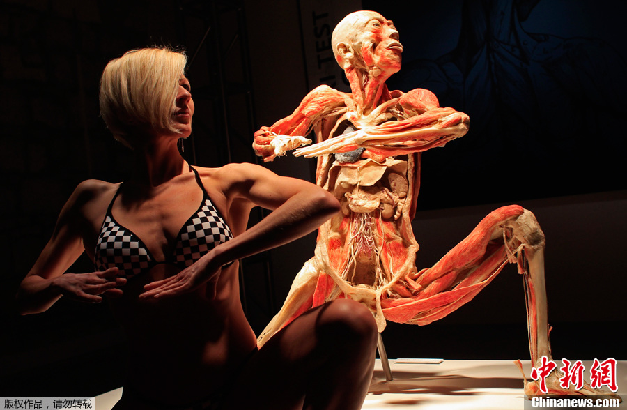 布达佩斯举办塑化人体展亲历恐怖真实人体(高