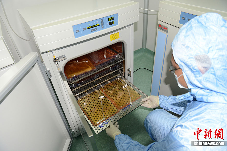 记者实拍生物免疫细胞实验室(高清组图)- Micr