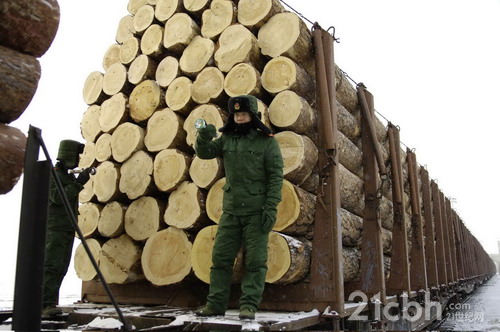 俄木材出口关税上调八成 中加工业受重创