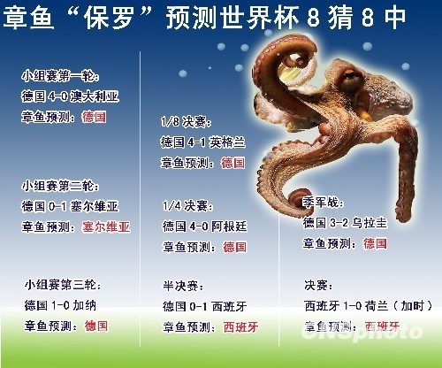 保罗身价水涨船高 将成章鱼界首个“百万富翁”