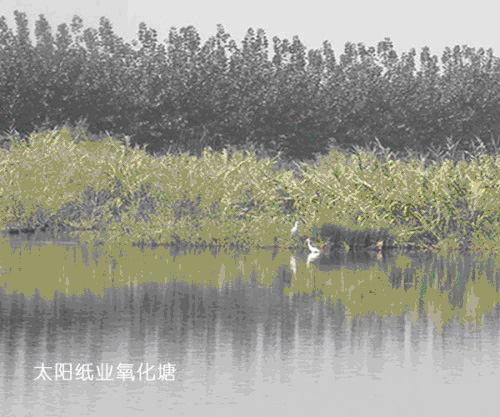 济宁运河申遗系列报道（一）：环境保护