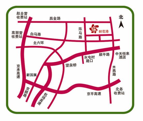 鲜花港春色满园 “2011北京郁金香文化节”盛大开幕