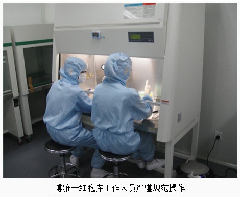 博雅干细胞库:让“生命保险”更保险