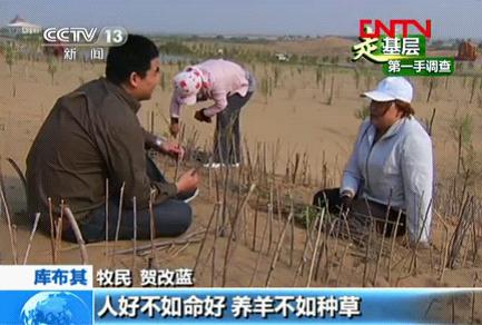 驯服“死亡之海”的人们