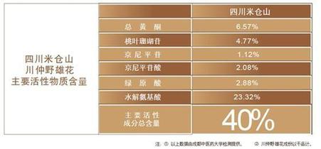 杜仲野雄花:何以珍贵?