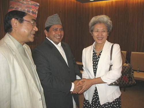 2012尼泊尔文化节在京举行 外交部副部长傅莹出席开幕式