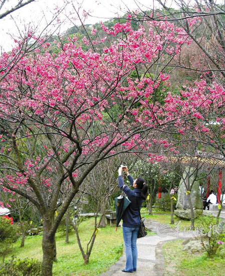 玩转蛇年！盘点春节各大主题旅游线路（组图）