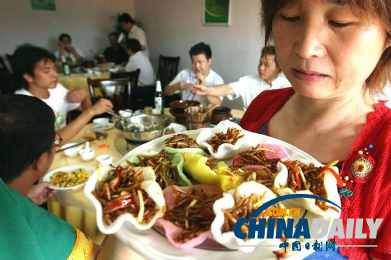 世界各地超级恐怖的虫子大餐(组图)