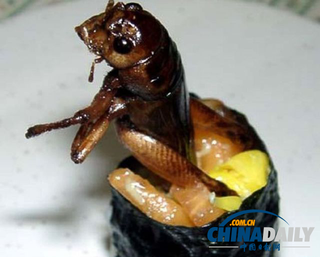 世界各地超级恐怖的虫子大餐（组图）