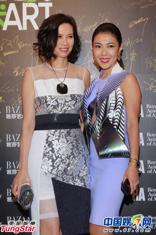 芭莎红毯众女星争艳 整容失败女星抢镜 鲁豫激瘦