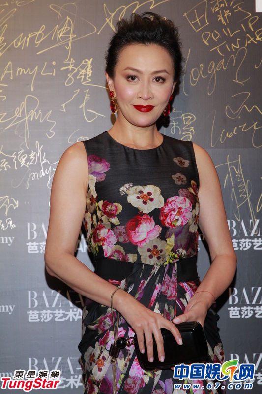 芭莎红毯众女星争艳 整容失败女星抢镜 鲁豫激瘦