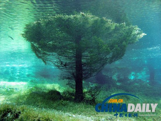 奥地利“水珍珠”：绿湖水下公园