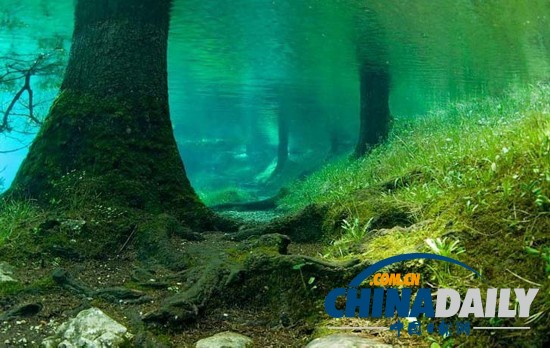 奥地利“水珍珠”：绿湖水下公园
