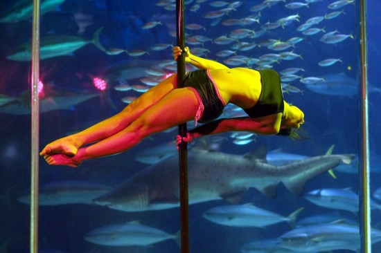 南非开普敦水族馆里表演钢管舞(图)