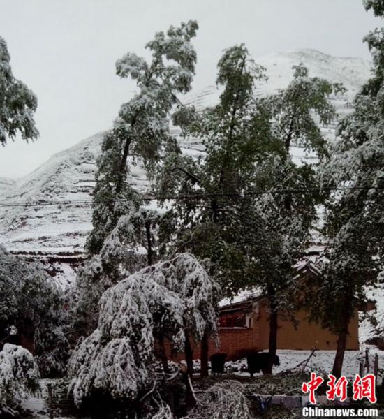 甘肃：局地现“夏日飞雪”奇观(图)