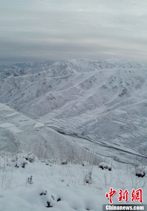 甘肃：局地现“夏日飞雪”奇观(图)