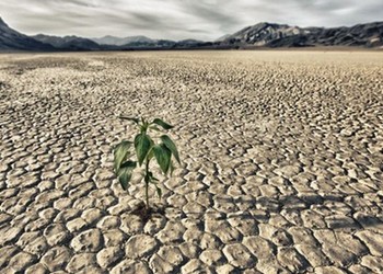 惠誉调低法国信用评级