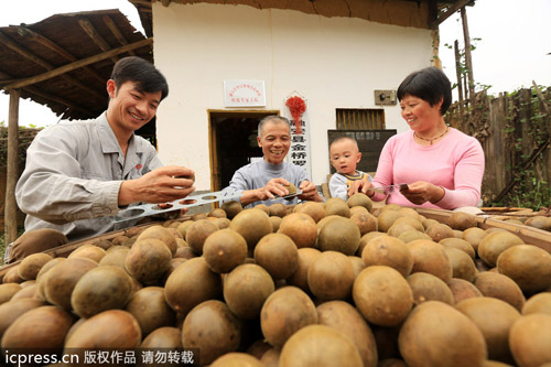 中国罗汉果变身美国汽水产业大救星？