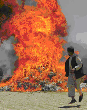 各国斩毒除魔进行时