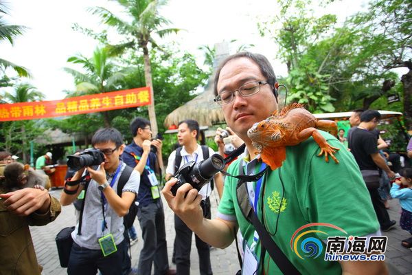 全国网媒记者走进保亭：游热带雨林 赏黎苗文化