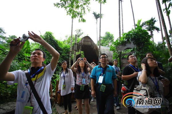全国网媒记者走进保亭：游热带雨林 赏黎苗文化