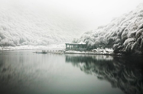 南山“万亩竹海”