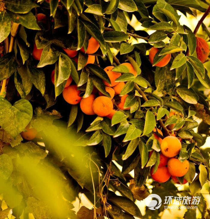 五彩缤纷的乌兹别克斯坦(组图)