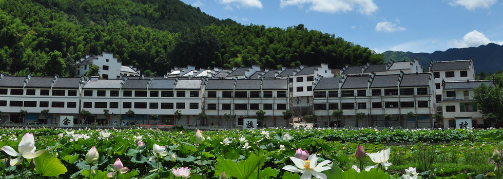 丽水莲都区利山村