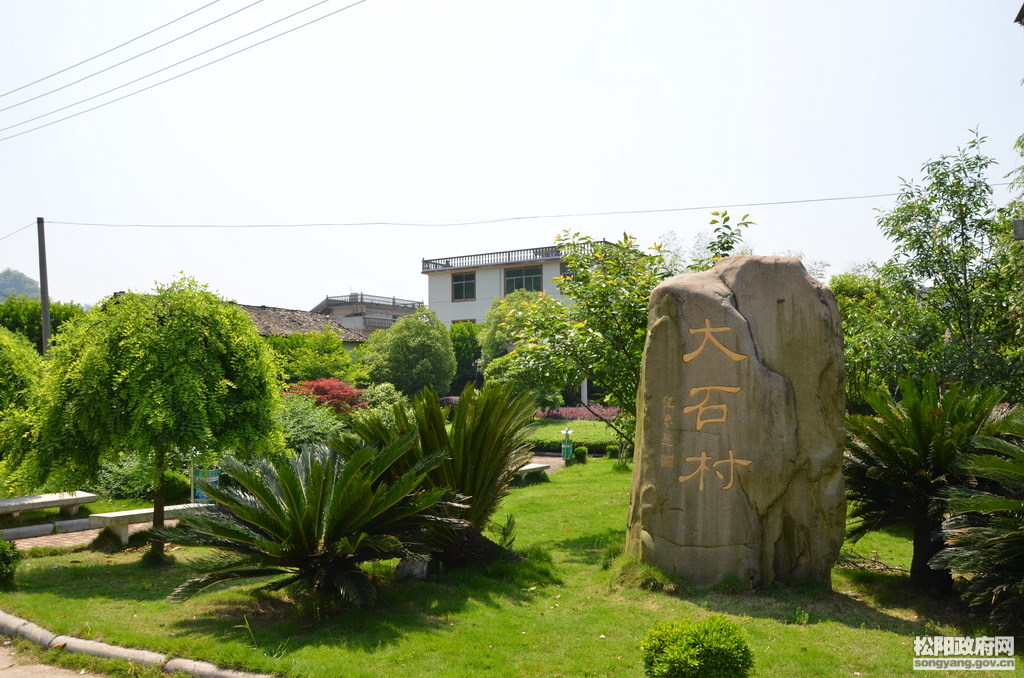 松阳大石村：一户一处景 全村似幅画