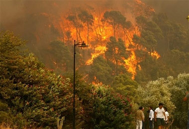 希腊森林火灾死亡人数超60 一天新增89个火点