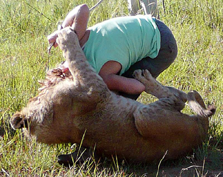 狮子也爱金发美女?英女教师狮口惊险逃生(多图