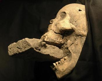 意考古学家发现女吸血鬼尸体 口塞砖块防其重