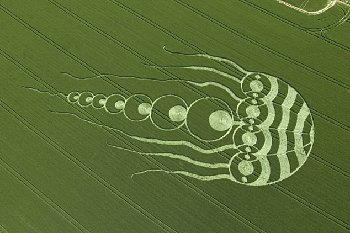 英国惊现巨型水母图案麦田怪圈 好似神秘生物入侵地球